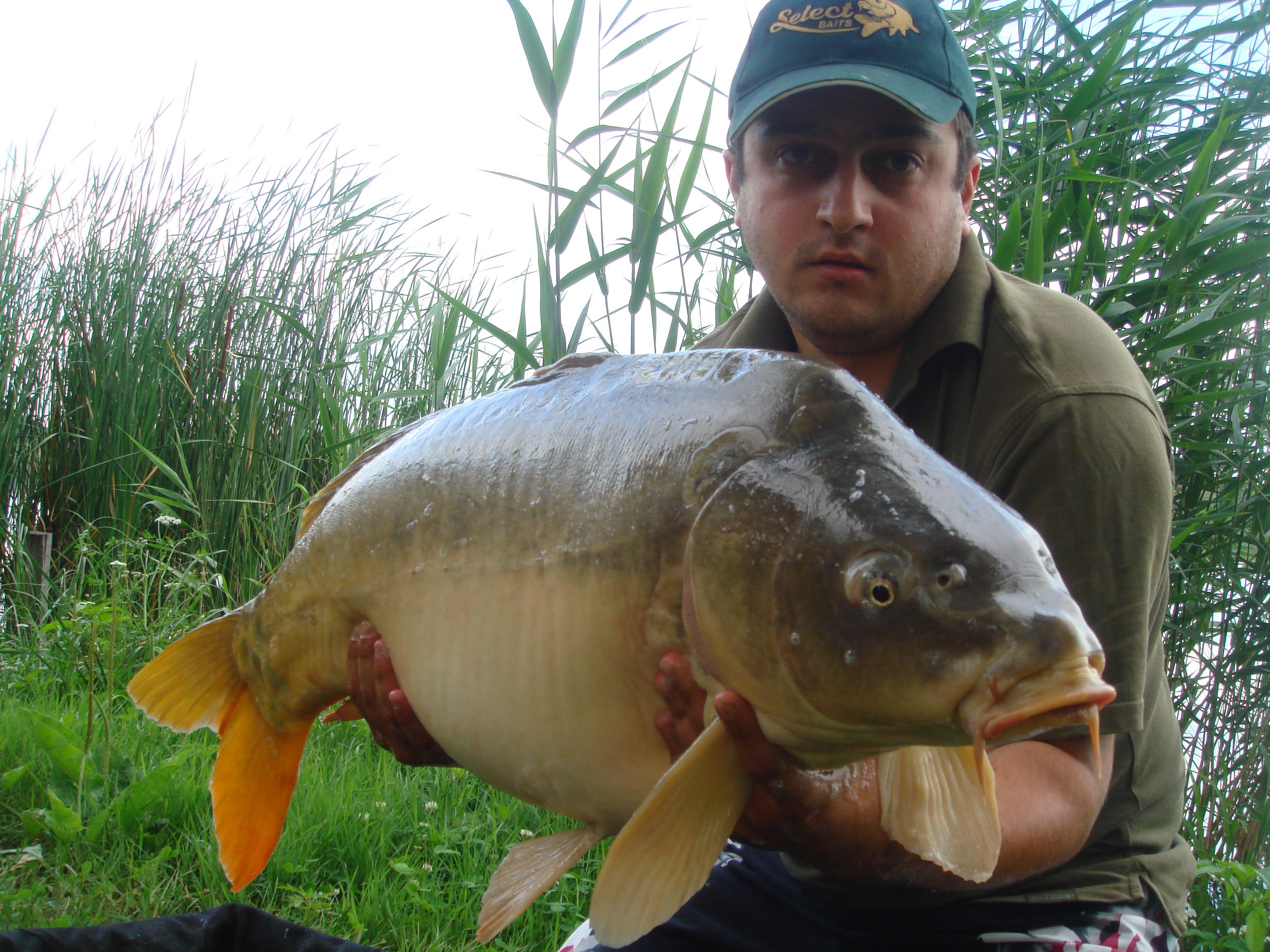 Nagykallo 2011 - DSC08472.JPG